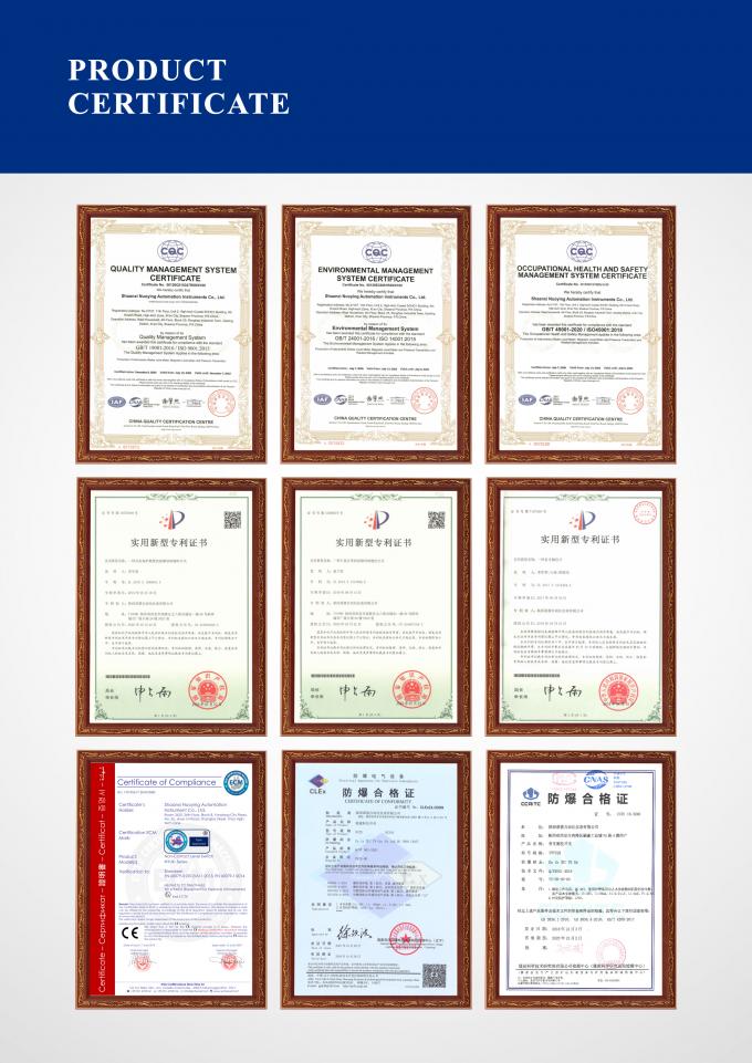 Το NYDE-CR Tuning Fork Density Meter Η κορυφαία επιλογή για ακριβή και πυκνή μέτρηση 2
