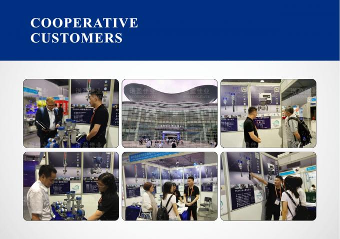 Το NYDE-CR Tuning Fork Density Meter Η κορυφαία επιλογή για ακριβή και πυκνή μέτρηση 3